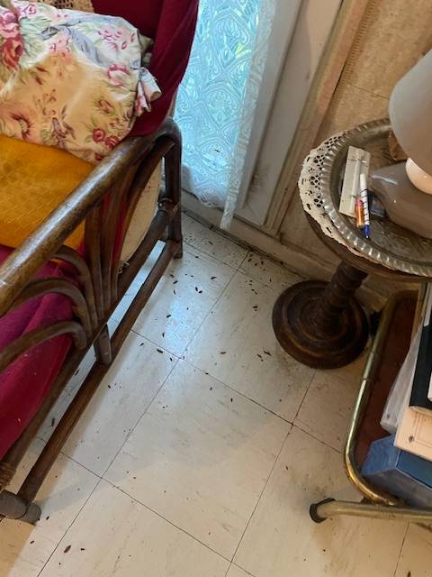 Désinfection extermination de cafards dans une cuisine par Eden Vert 3D à Marseille